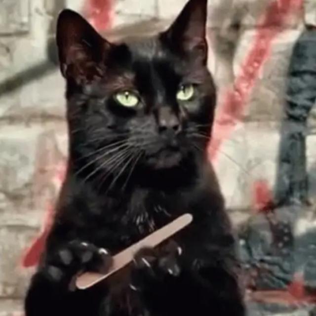 Imagem do grupo ###Zuera insana####