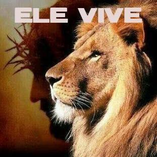 Imagem do grupo LEÃO DA TRIBO DE JUDÁ 🙏🙏😇😇