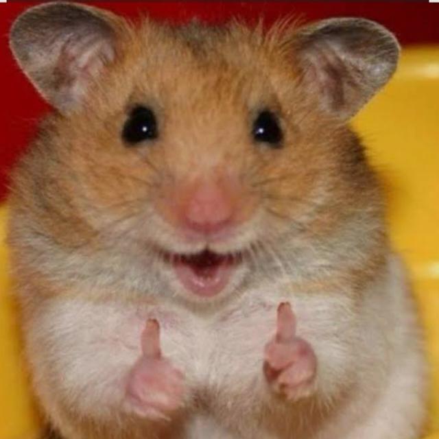 Imagem do grupo ɑmizɑdes e conversɑs⚡💥