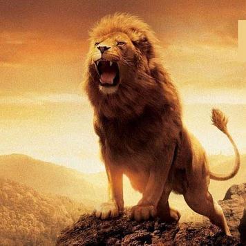 Imagem do grupo Melhores!🥳