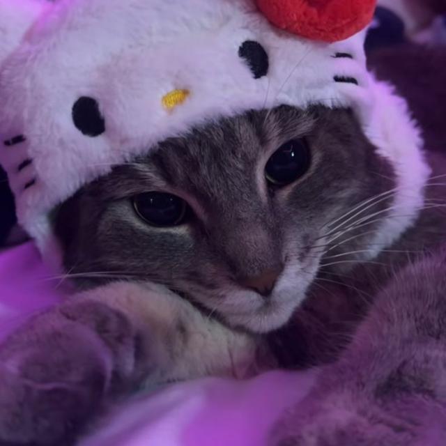 Imagem do grupo Vizu status🤍