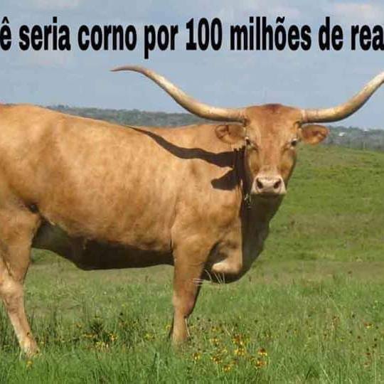 Imagem do grupo COM&Eacute;DIA @OFICIAL