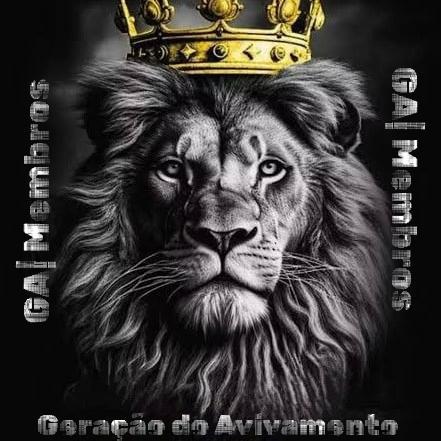 Imagem do grupo Guerreiros de Cristo ✝️⚔️❤️