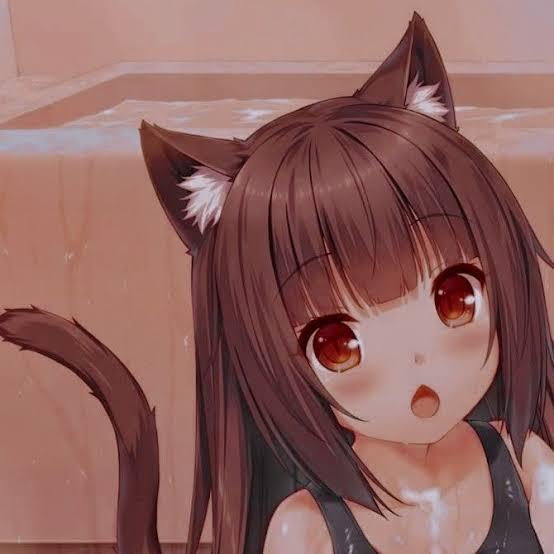 Imagem do grupo ꧁𓊈𒆜🅆🄴🄱🅂 🄰🄼🄸🄶🄾🅂 𒆜𓊉꧂