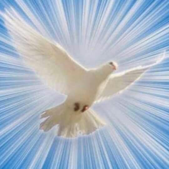 Imagem do grupo Triagem Projeto de Deus Família de Jesus - DDD, 21 a 24 e 11 a 13