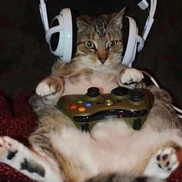 Imagem do grupo PSX,PS2,PS3,PS4,PS5 E PS6 E VARIEDADES