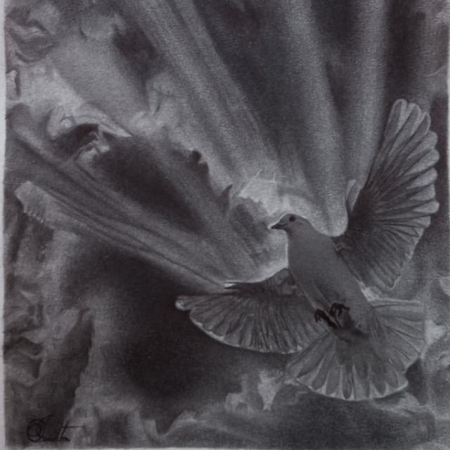 Imagem do grupo Grupo "artes & artistas"✏️