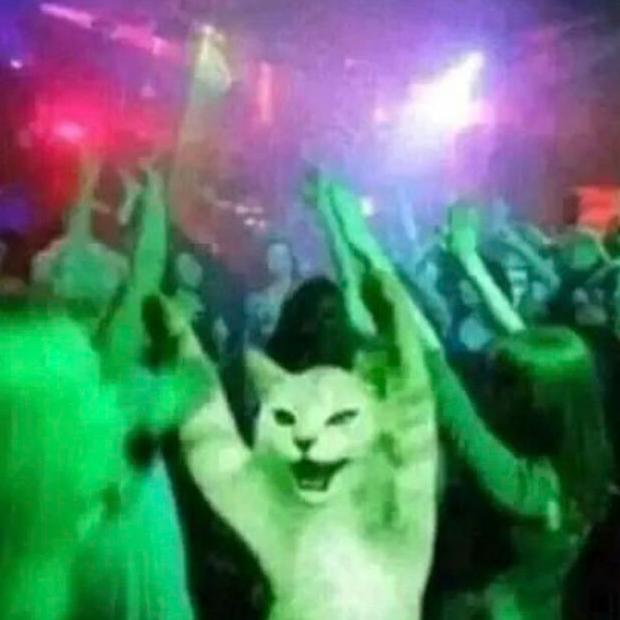 Imagem do grupo 🇦🇴ꜱᴀɴᴛᴜáʀɪᴏ ᴄʜᴀᴛूाीू