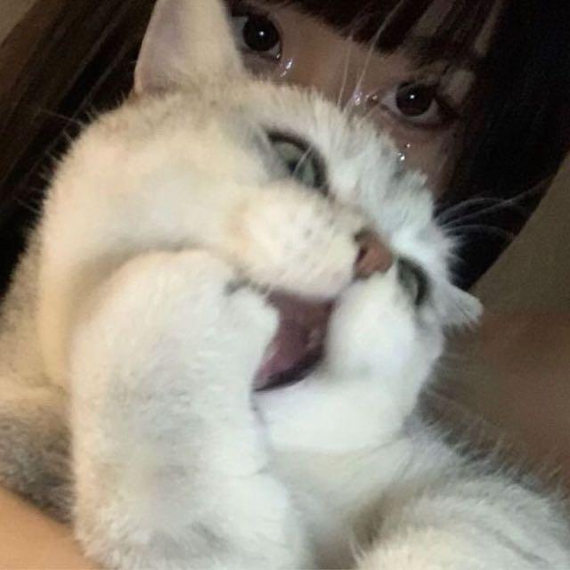 Imagem do grupo ステッカー Figurinha 🇯🇵