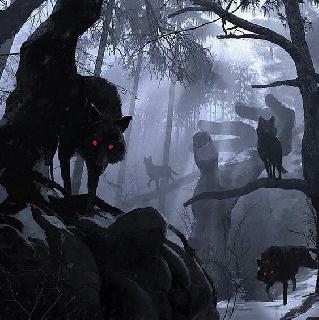 Imagem do grupo 𝑳𝑶𝑩𝑶𝑺 𝑵𝑬𝑮𝑹𝑶𝑺