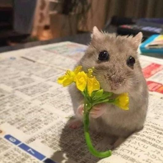 Imagem do grupo Amizades saudáveis