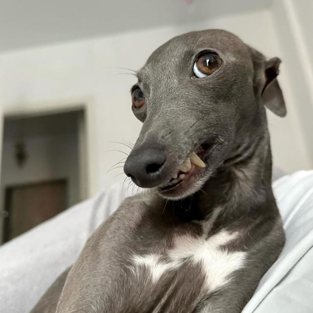 Imagem do grupo Os 100 noção