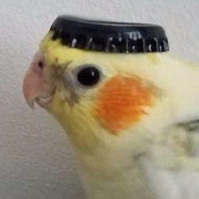 Imagem do grupo ⚡𝑪𝒉𝒂𝒕-𝒁𝒖𝒓𝒑𝒉𝒚⚡