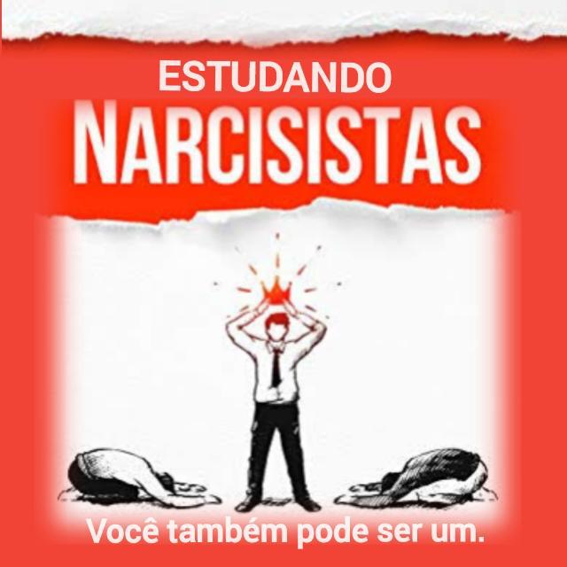 Imagem do grupo Estudando os NARCISISTAS 