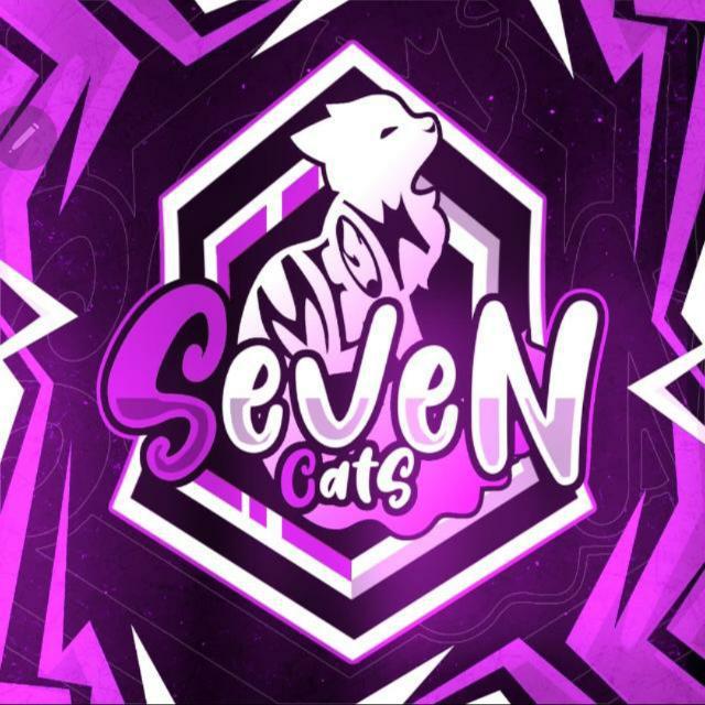 Imagem do grupo RECRUTAMENTO SEVEN CATS🐱