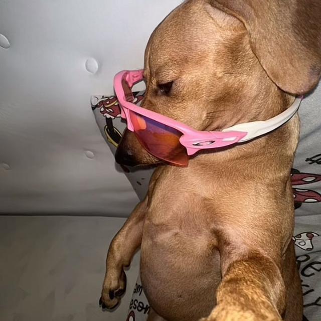 Imagem do grupo RECEPÇÃO DO GRUPO ESTUDOS