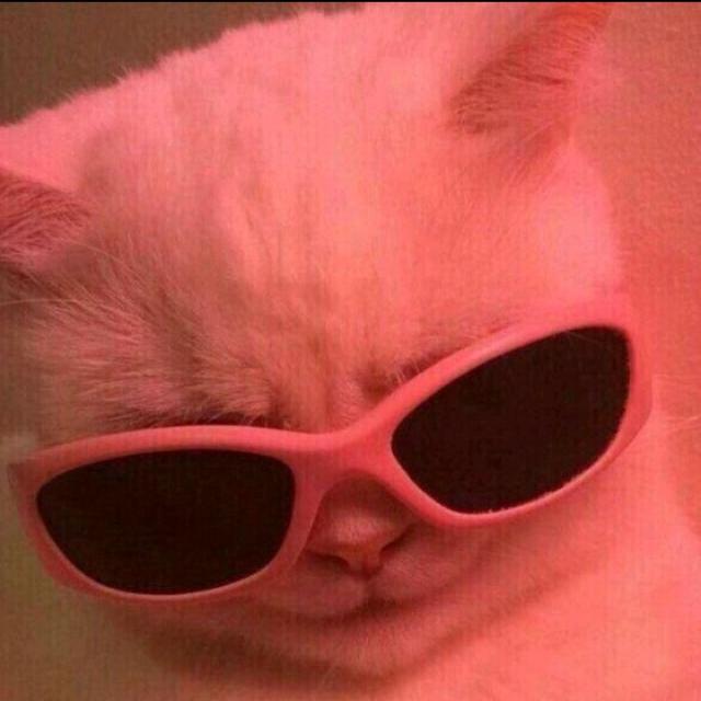 Imagem do grupo 𝖂𝖊𝖇 𝕬𝖒𝖎𝖌𝖔𝖘