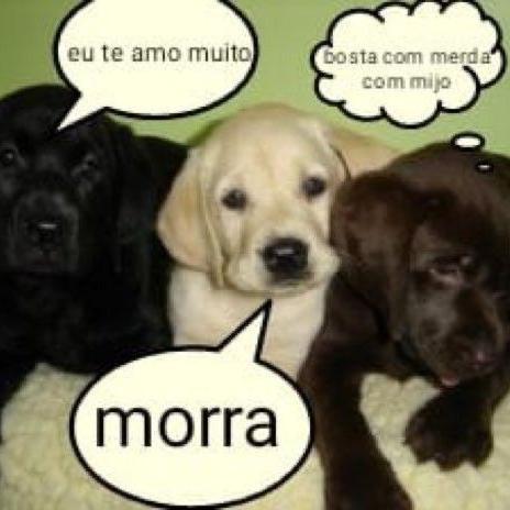 Imagem do grupo ごはんとみずおください