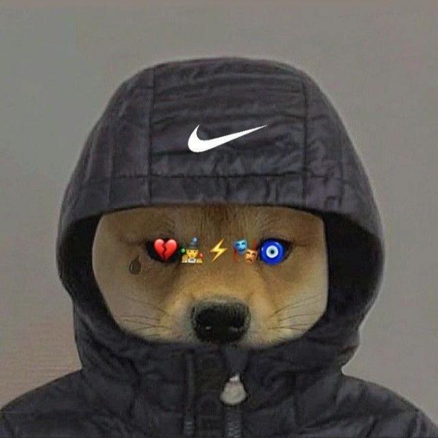 Imagem do grupo 𝐬𝐨́ 𝐨𝐬 𝐟𝐚𝐱𝐚𝐬 🥋🔥