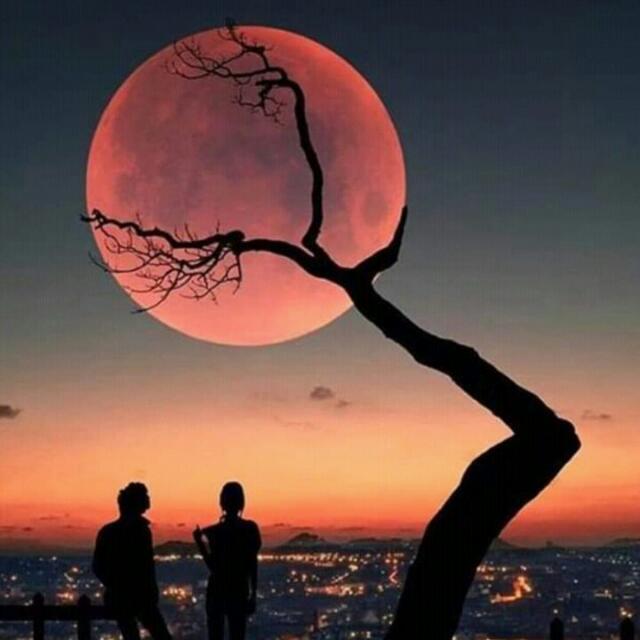 Imagem do grupo Amigos e amigas😎