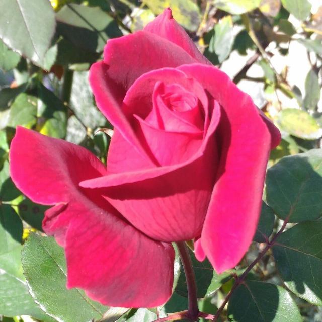 Imagem do grupo Ajudar pessoas da PraiaG