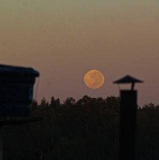 Imagem do grupo Madrugada 