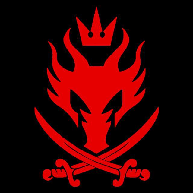 Imagem do grupo Piratas Black Dragon