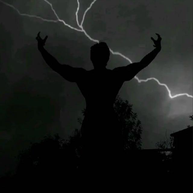 Imagem do grupo FREE FIRE AO VIVO LIVE ON!