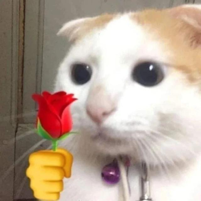 Imagem do grupo 𝐆𝐫𝐮𝐩𝐢𝐧𝐡𝐮 👾