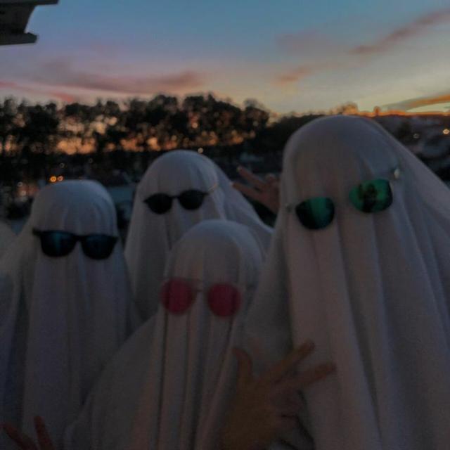 Imagem do grupo Os normais