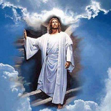 Imagem do grupo ❤🕊PREGANDO O EVANGELHO🕊✨