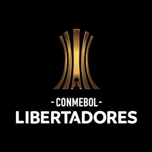 Imagem do grupo LIBERTADORES FF