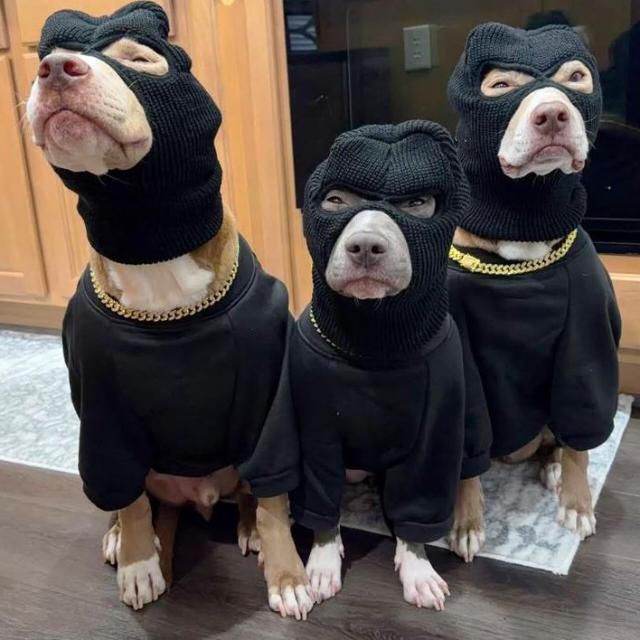Imagem do grupo Engaja TikTok🌹