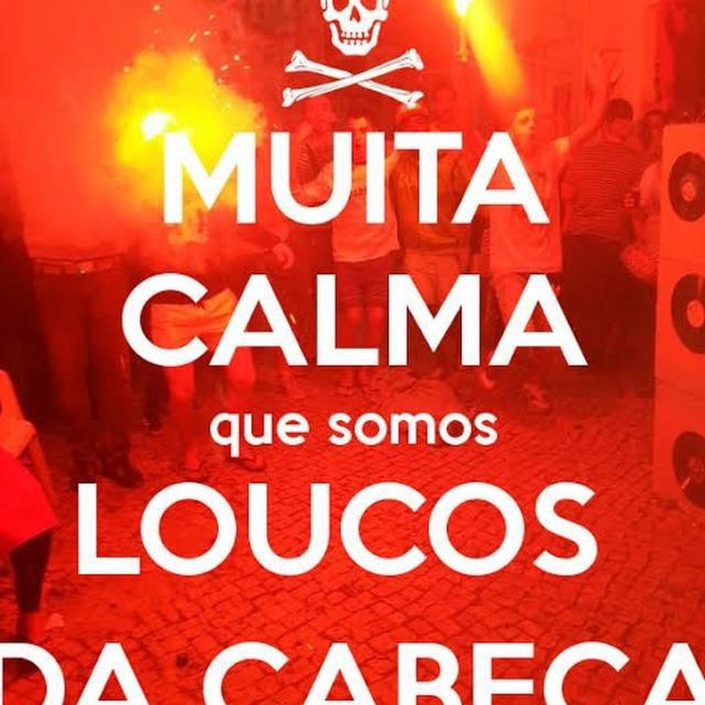 Imagem do grupo OS LOUCOS DA WEB.