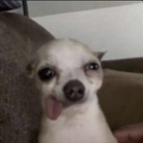 Imagem do grupo Wₑ𝚋 𝚌ₐᵣₑ𝚗𝚝ₑ𝘴 