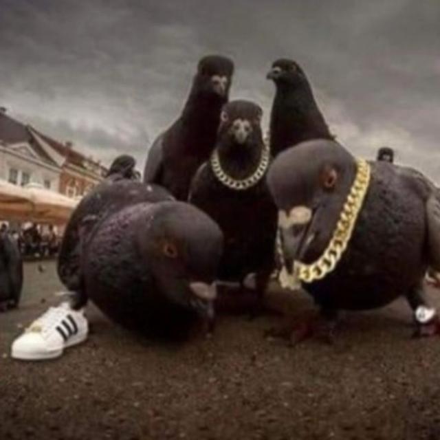 Imagem do grupo ™♱sᴡᴇᴇᴛs-ᴄʜᴀᴛ╰☆╮