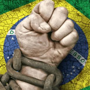 Imagem do grupo POLÍTICA🇧🇷🇨🇳🇺🇸