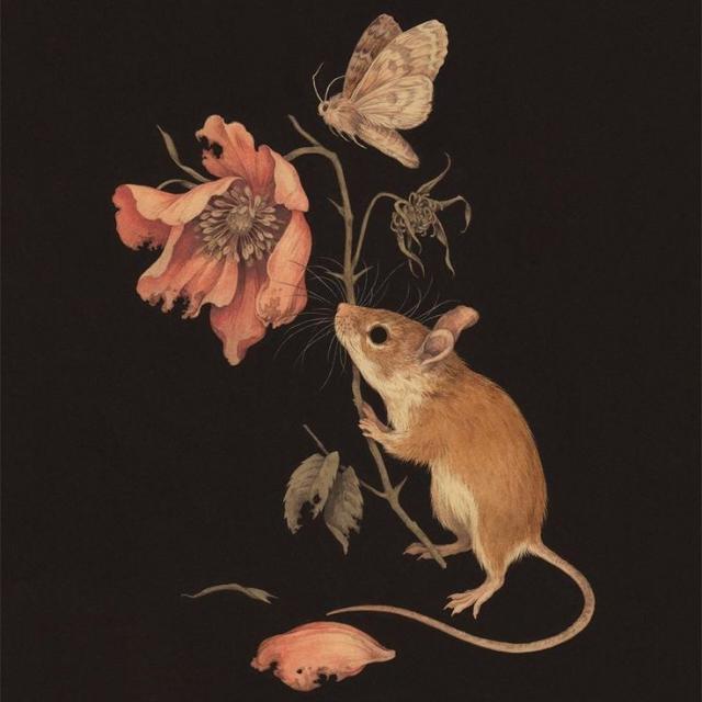 Imagem do grupo 𝕽𝖆𝖙𝖔𝖘 𝕭𝖚𝖗𝖌𝖚𝖊𝖘𝖊𝖘