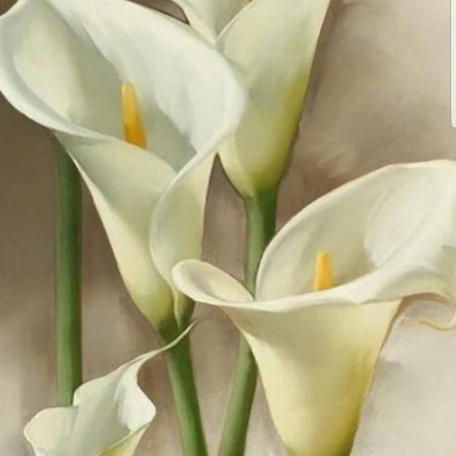 Imagem do grupo OS meninos nao tem oq faze😒😒r