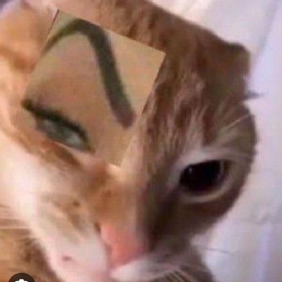 Imagem do grupo ➦thᥱ ᥒᥱᥕ W᥆rᥣd