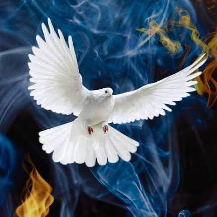 Imagem do grupo Pentecostais do Brasil 🙏🏻🙏🏻