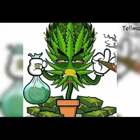 Imagem do grupo 4:20 legalizado 🍁🔥