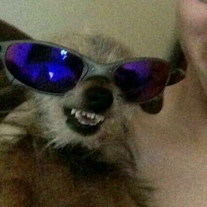 Imagem do grupo Ofertas e promoções