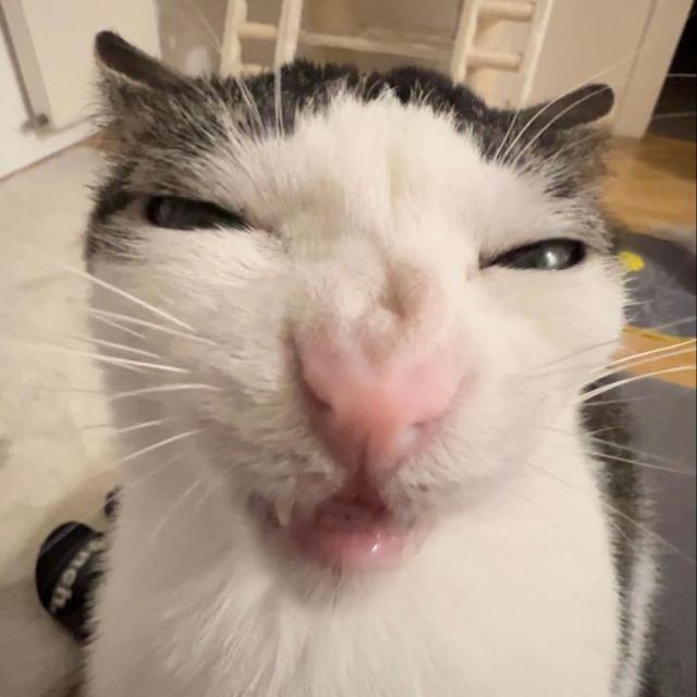 Imagem do grupo > Amizades ↷🖇🥛