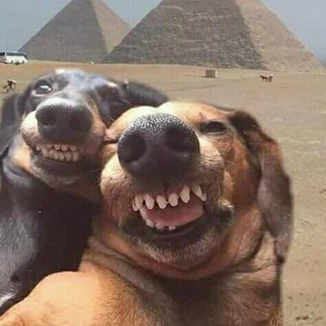 Imagem do grupo Zueira total😮‍💨