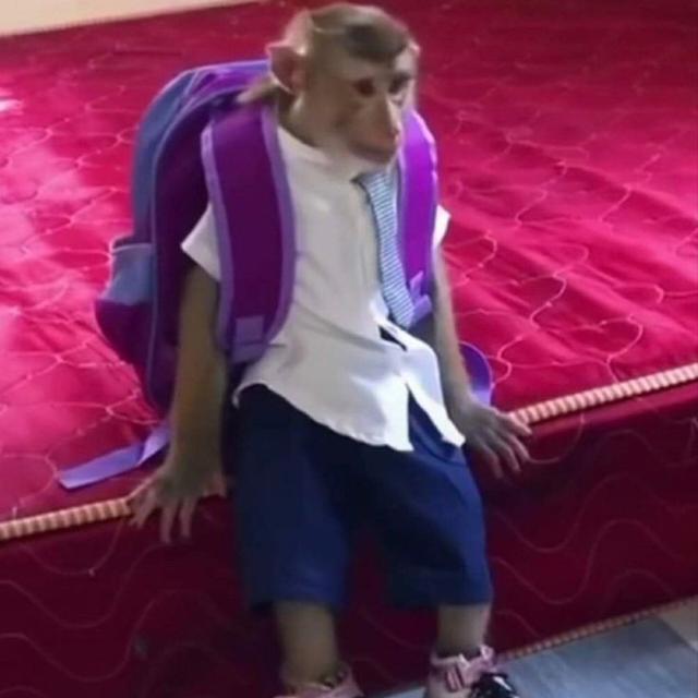 Imagem do grupo ° F I G U R I N H A S•