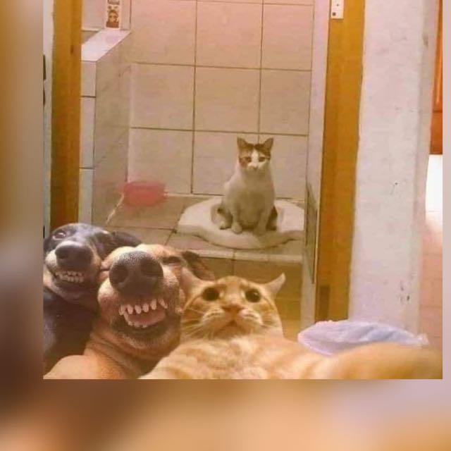 Imagem do grupo 𓂀 Á𝕣𝕖𝕒 𝟝𝟙 𓂀