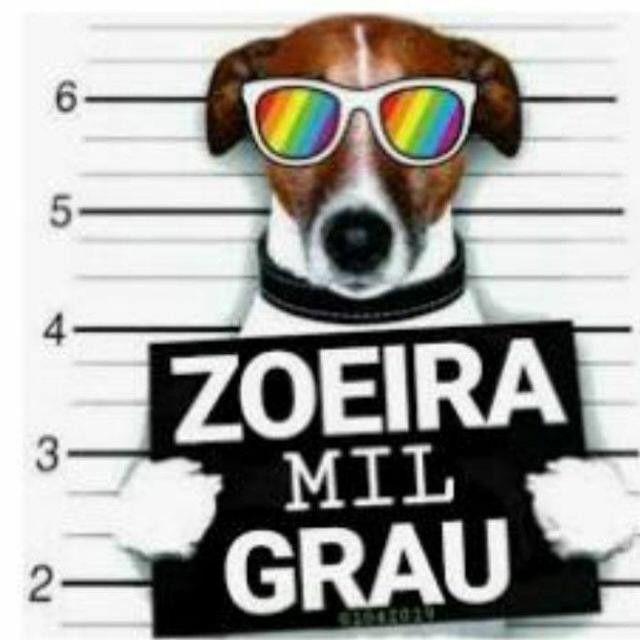 Imagem do grupo 「๖ۣۜZ&Xi;USᶦᶰᵈ」