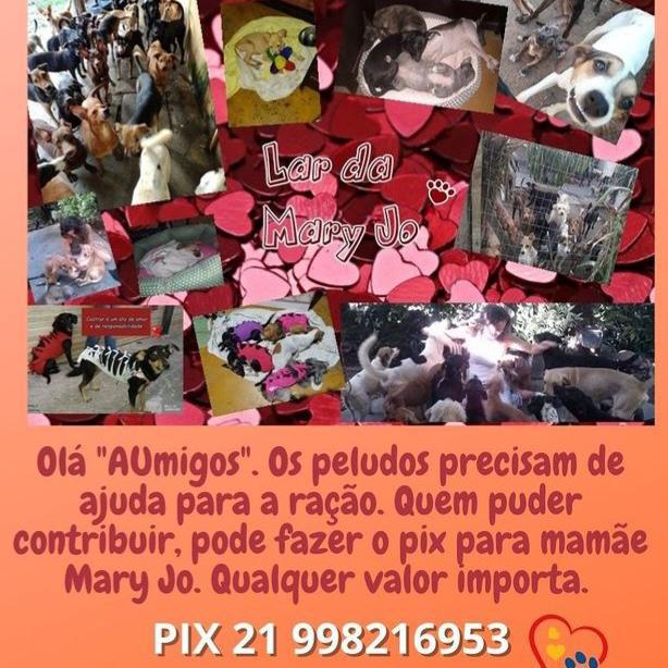 Imagem do grupo Abrigo de animais Mary Jo🐶 (Leia a descrição)