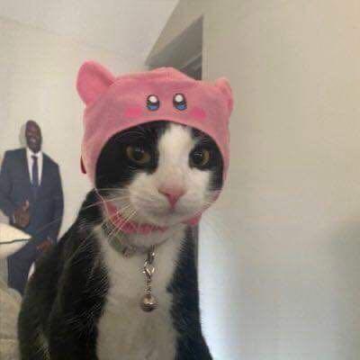 Imagem do grupo 𝑨𝑴𝑰𝒁𝑨𝑫𝑬𝑺 𝑬 𝒁𝑼𝑬𝑹𝑨